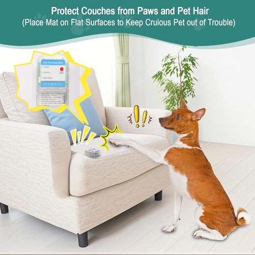 Pet Training Shock Mat
