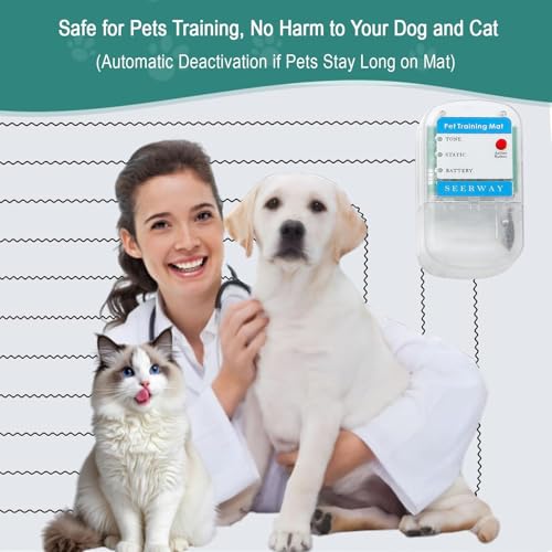 Pet Training Shock Mat