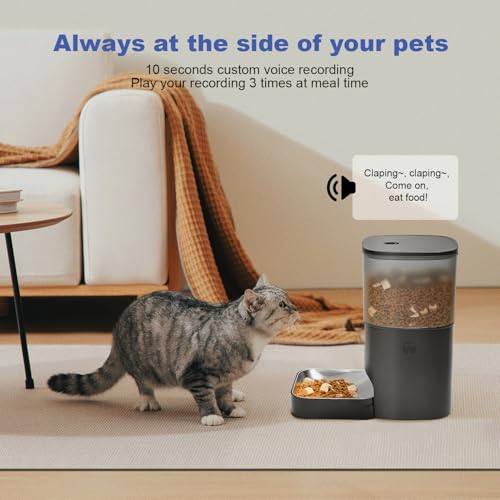 Automatic Cat Feeder with Voice Recorder