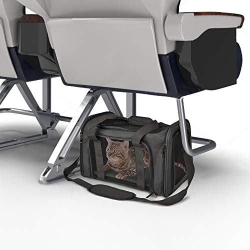 Airline-Approved Soft Pet Carrier
