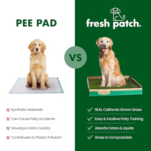 Fresh Patch Disposable Dog Potty with Real Grass