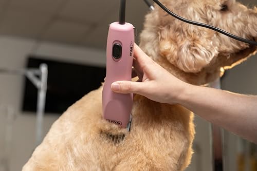 Professional Pet Clipper for Thick Coats