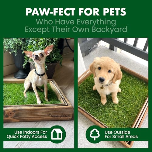 Fresh Patch Disposable Dog Potty with Real Grass
