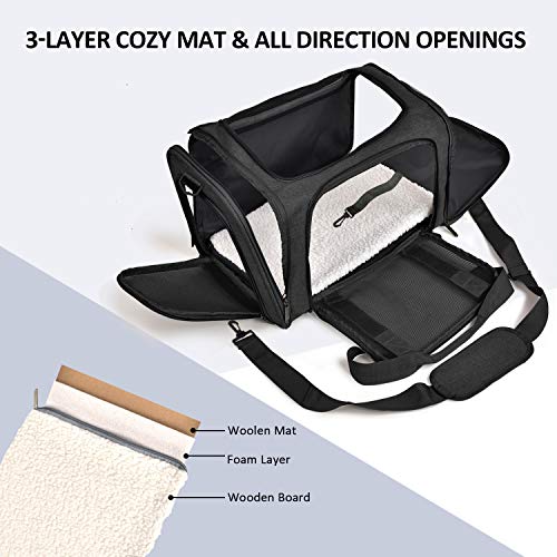 Airline-Approved Soft Pet Carrier