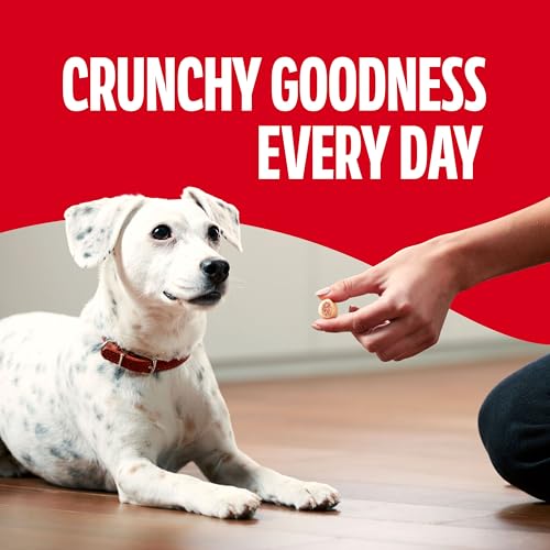 MaroSnacks Small Dog Treats (2 Pack)