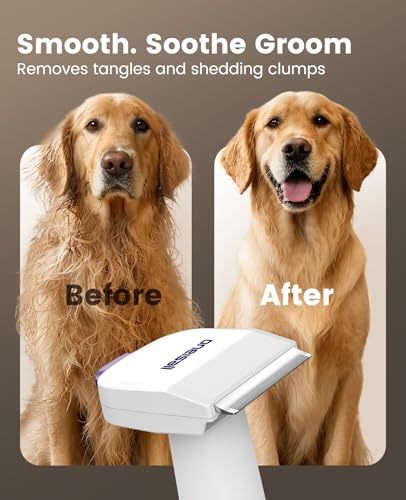 Pet Grooming Vacuum Kit