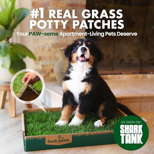 Fresh Patch Disposable Dog Potty with Real Grass