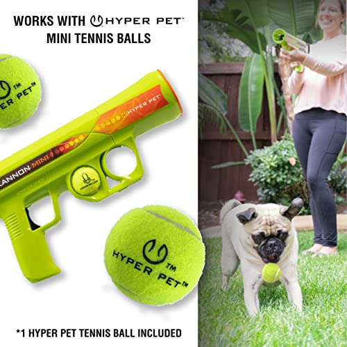 Dog Ball Launcher Fetch Toy