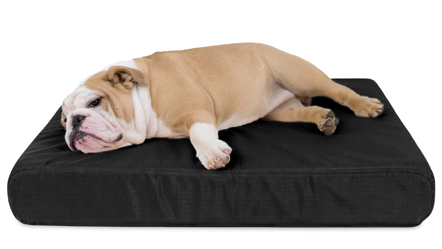 Chew-Resistant Orthopedic Dog Bed