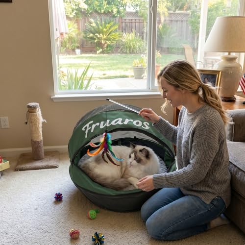 Outdoor Cat Exercise Ball 2.0