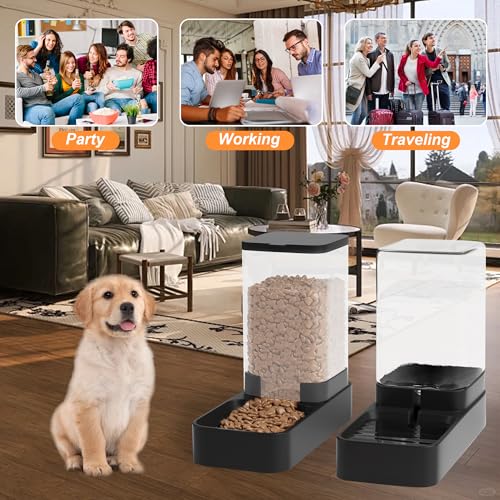 Automatic Pet Feeder & Water Dispenser Set