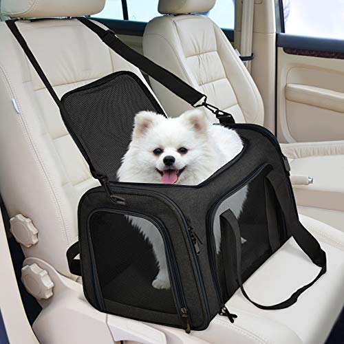 Airline-Approved Soft Pet Carrier