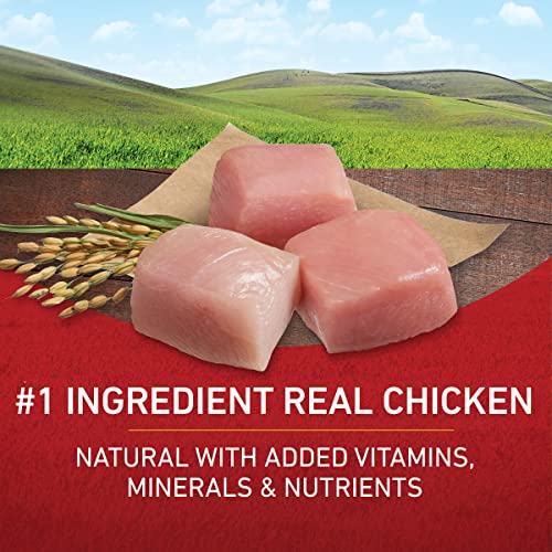 SmartBlend Adult Dry Dog Food