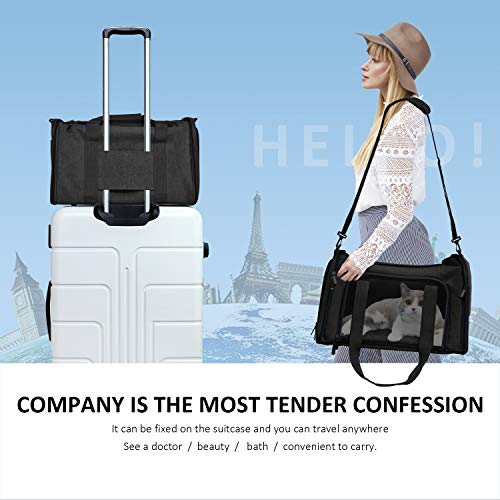 Airline-Approved Soft Pet Carrier