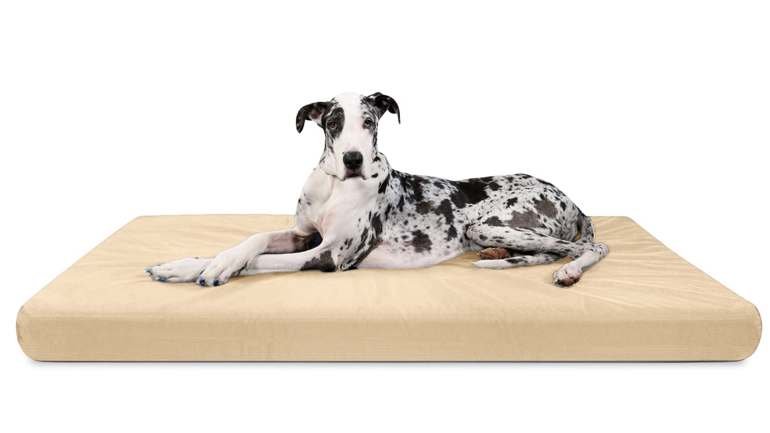 Chew-Resistant Orthopedic Dog Bed