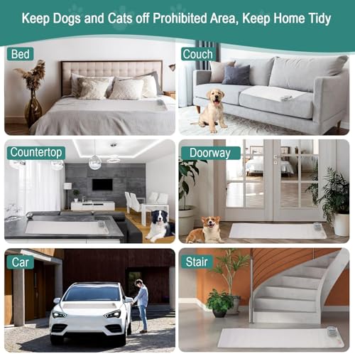 Pet Training Shock Mat