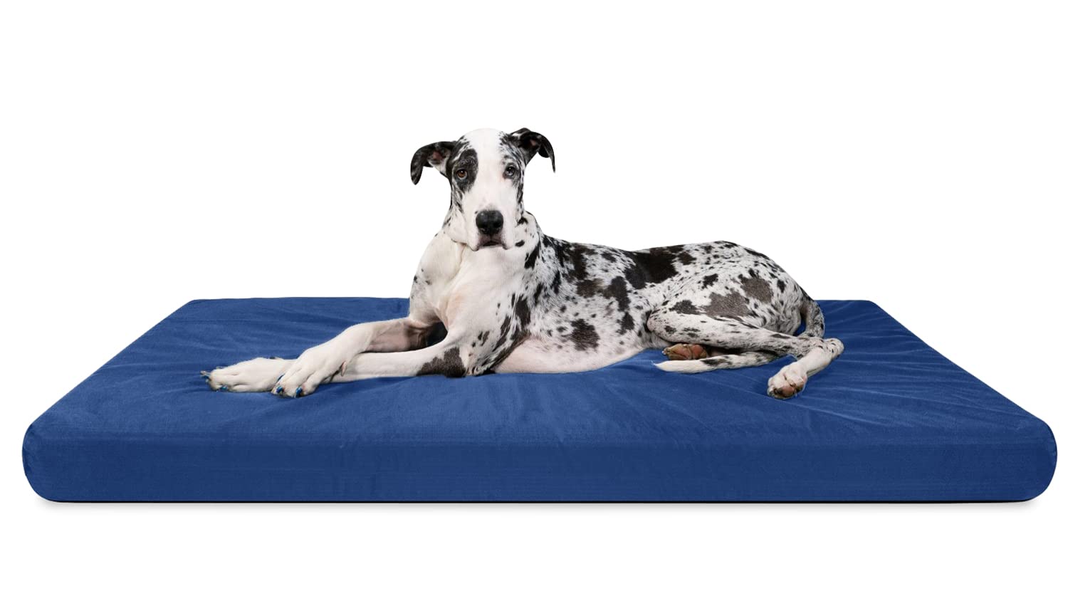 Chew-Resistant Orthopedic Dog Bed