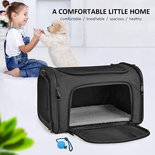 Airline-Approved Soft Pet Carrier