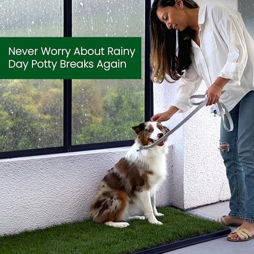 Fresh Patch Disposable Dog Potty with Real Grass