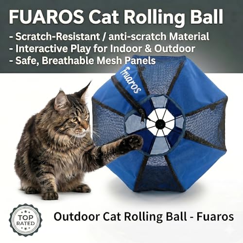 Outdoor Cat Exercise Ball 2.0