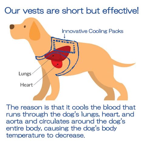 Dog Cooling Vest