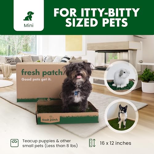 Fresh Patch Disposable Dog Potty with Real Grass