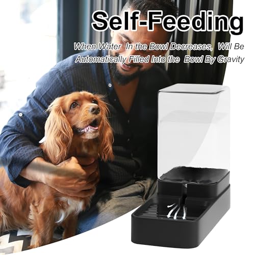 Automatic Pet Feeder & Water Dispenser Set