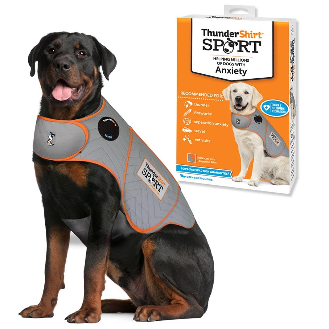 Calming Dog Anxiety Vest