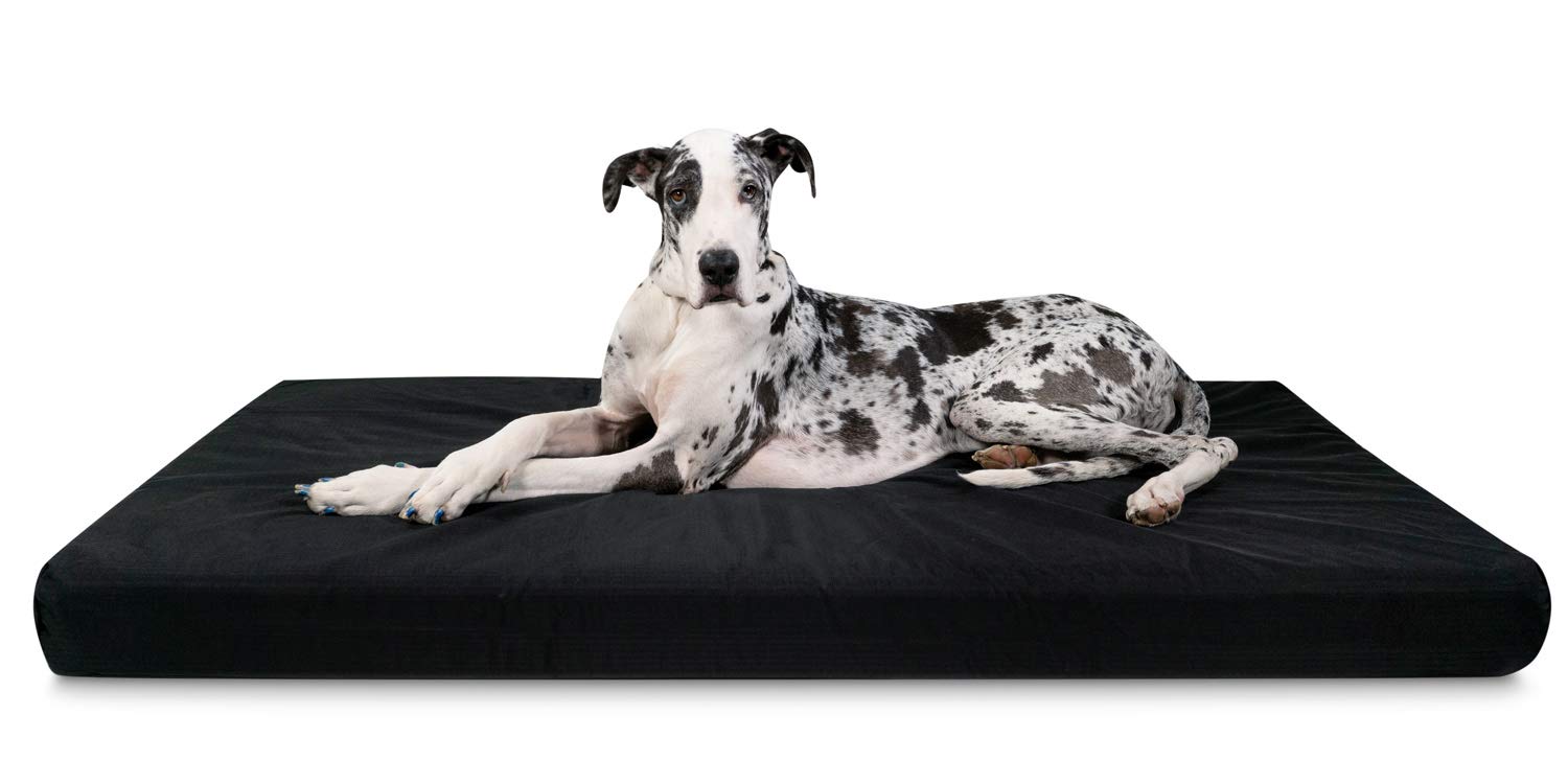 Chew-Resistant Orthopedic Dog Bed