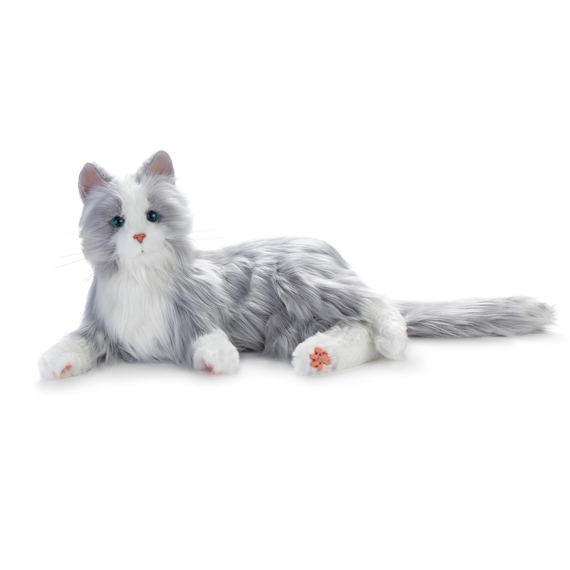 Interactive Black & White Companion Cat