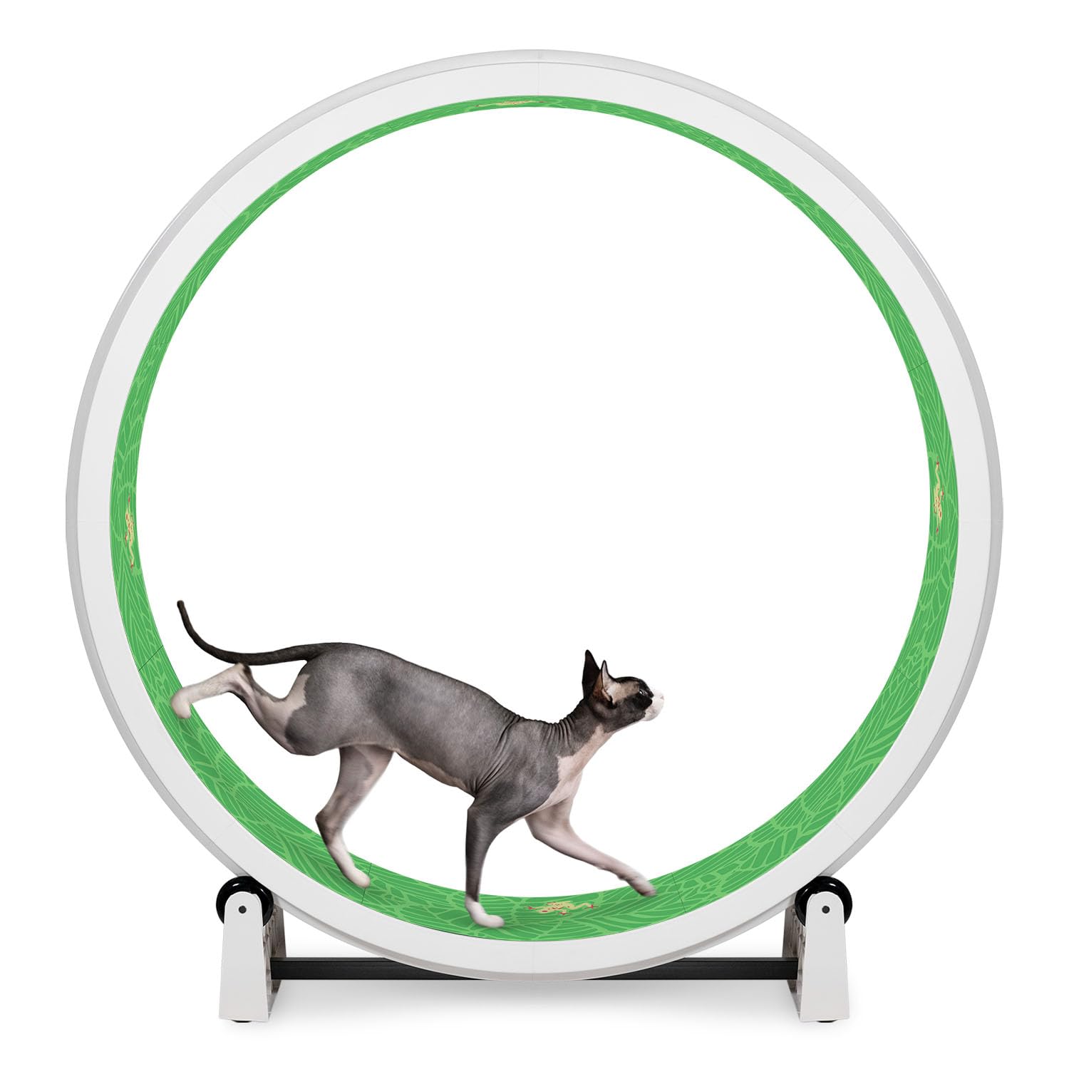 One Fast Cat Exercise Wheel