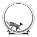 One Fast Cat Exercise Wheel