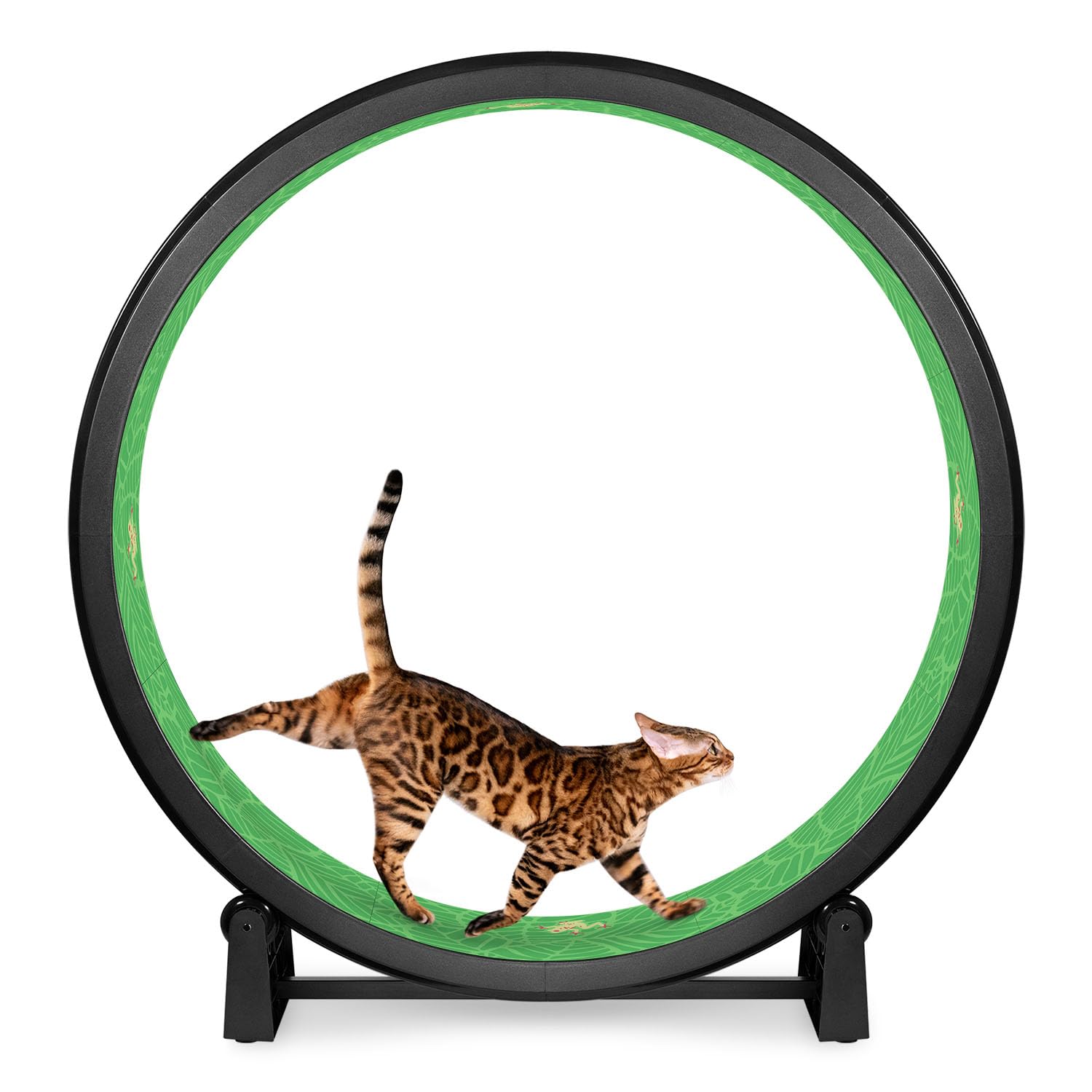 One Fast Cat Exercise Wheel