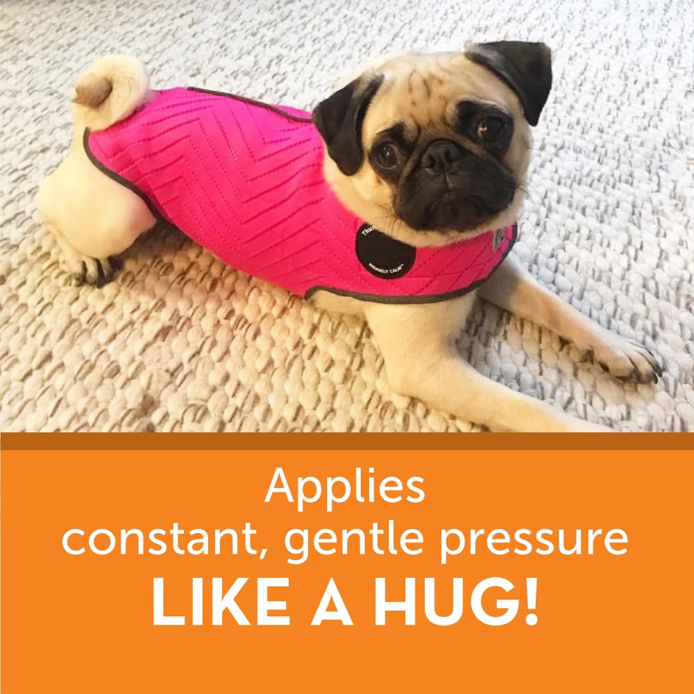 Calming Dog Anxiety Vest