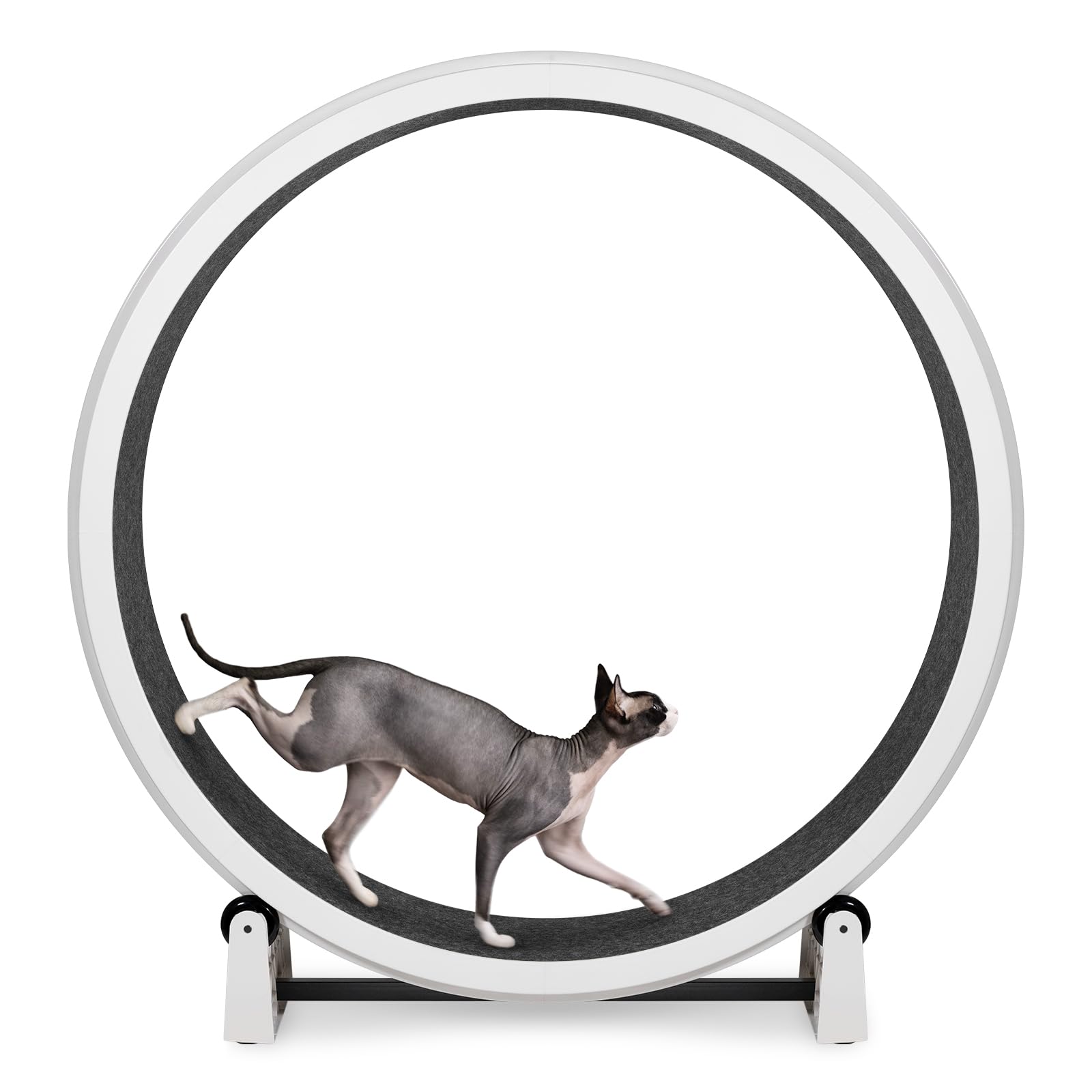 One Fast Cat Exercise Wheel