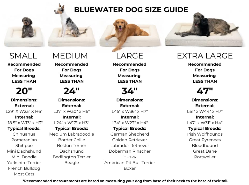 Orthopedic Memory Foam Dog Bed