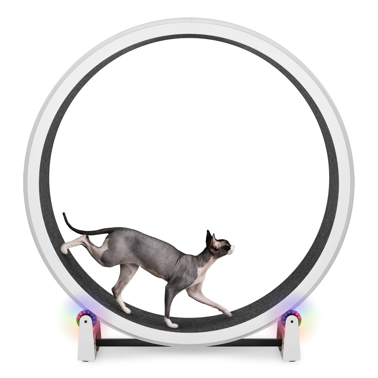 One Fast Cat Exercise Wheel