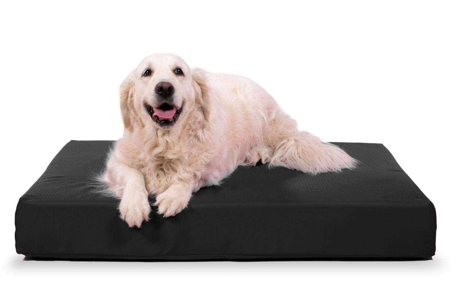 Chew-Resistant Orthopedic Dog Bed