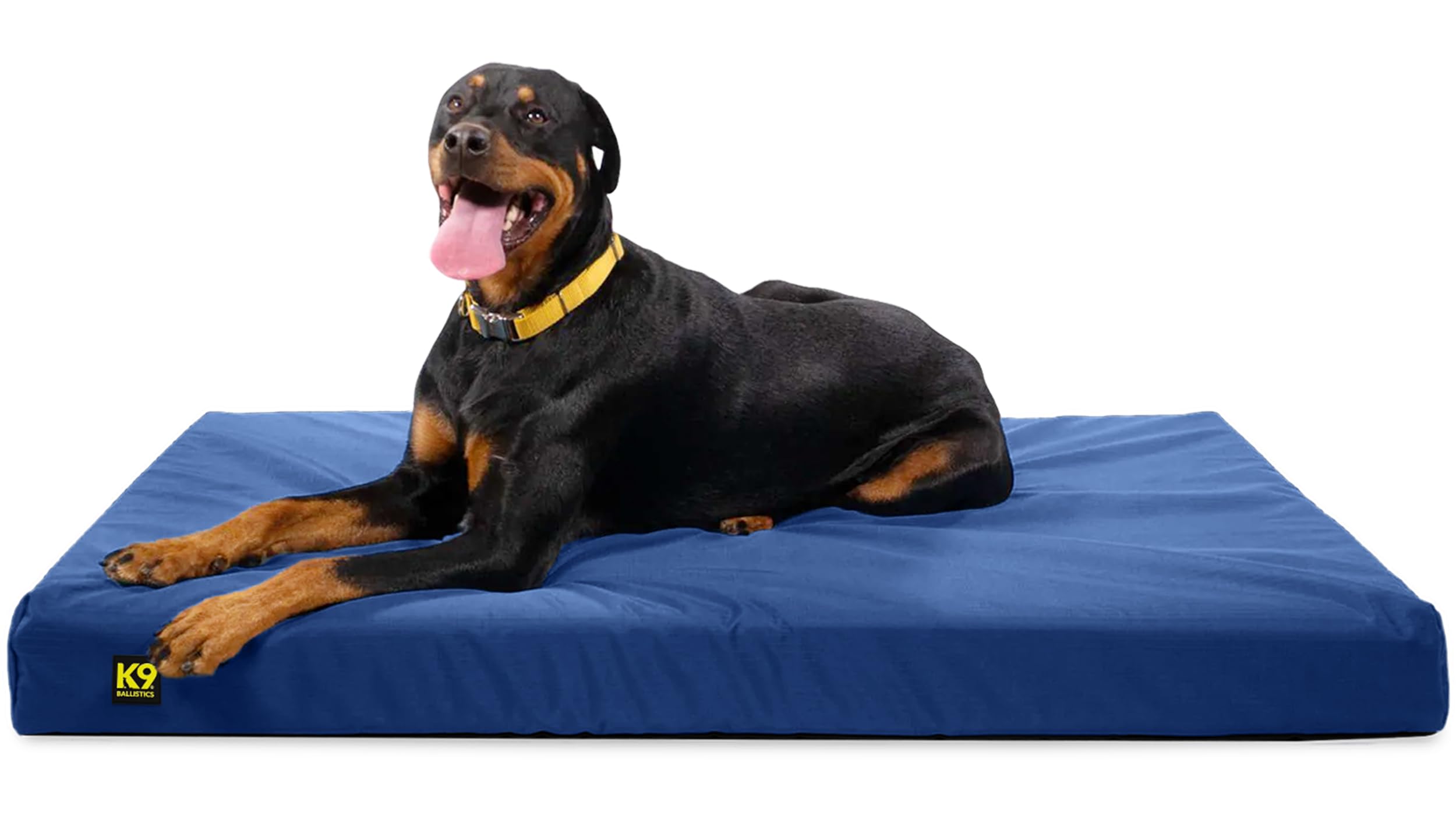 Chew-Resistant Orthopedic Dog Bed