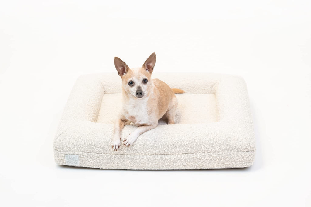 Orthopedic Memory Foam Dog Bed