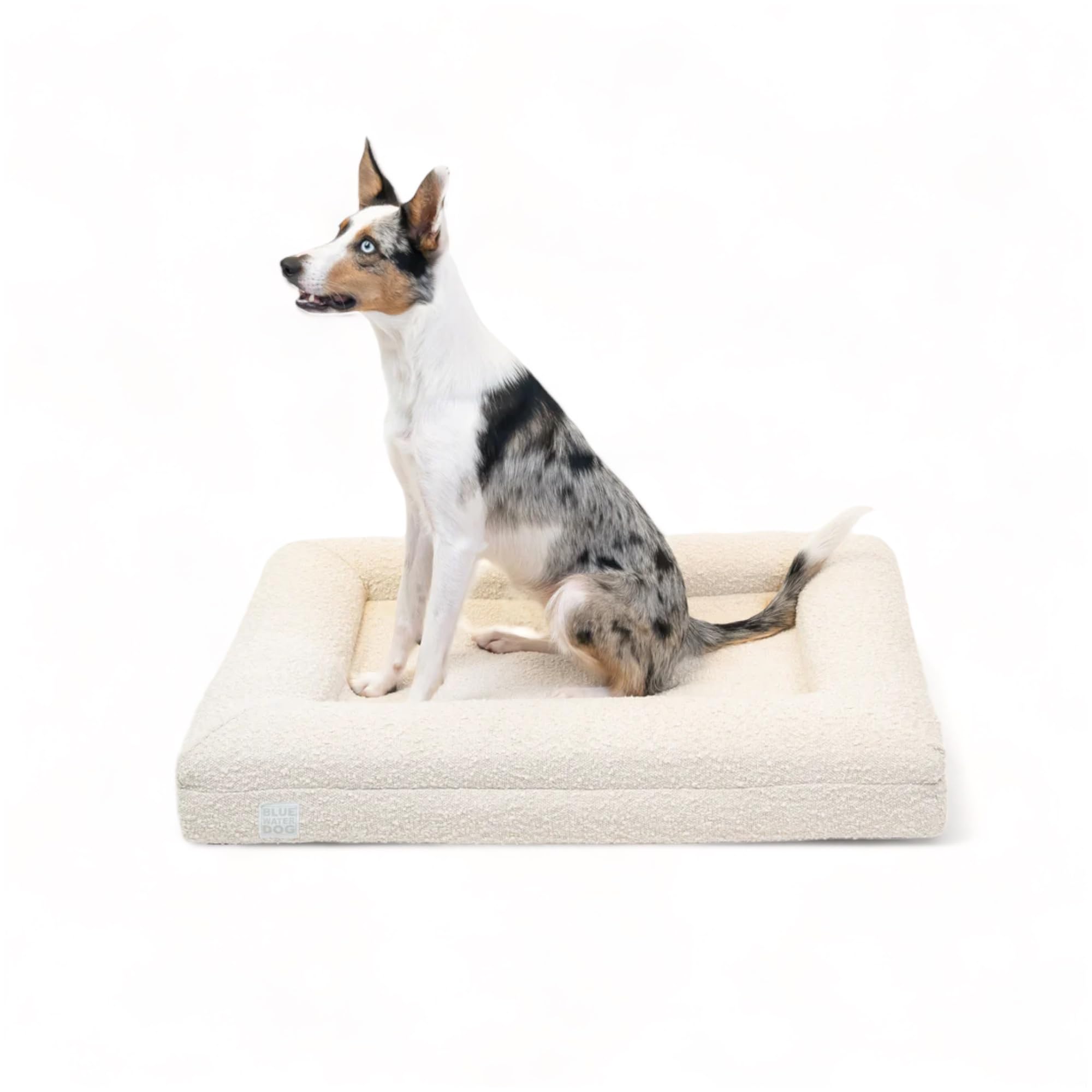 Orthopedic Memory Foam Dog Bed