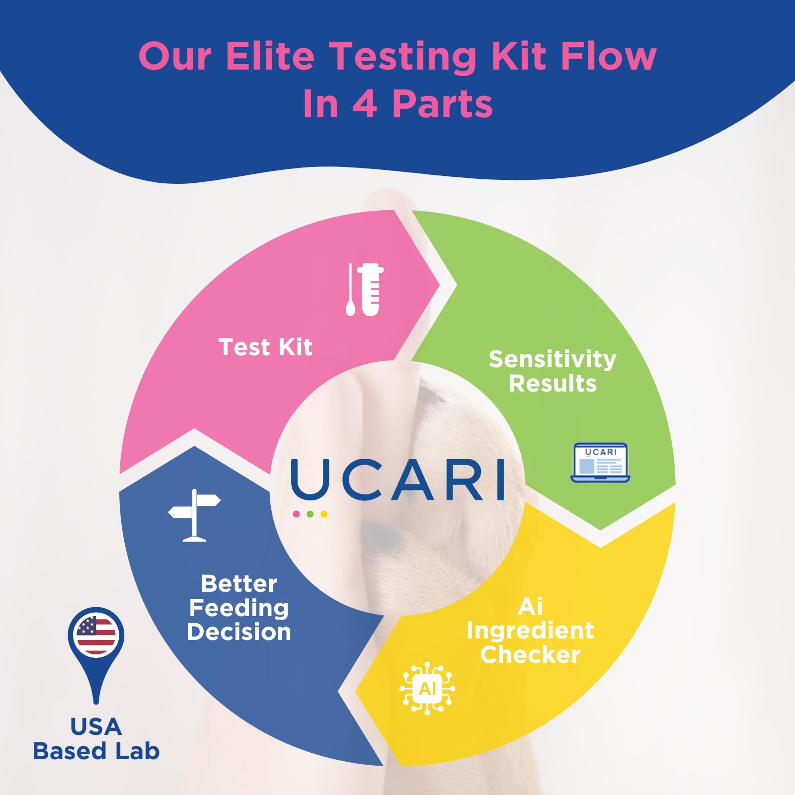 Pet Sensitivity Test Kit