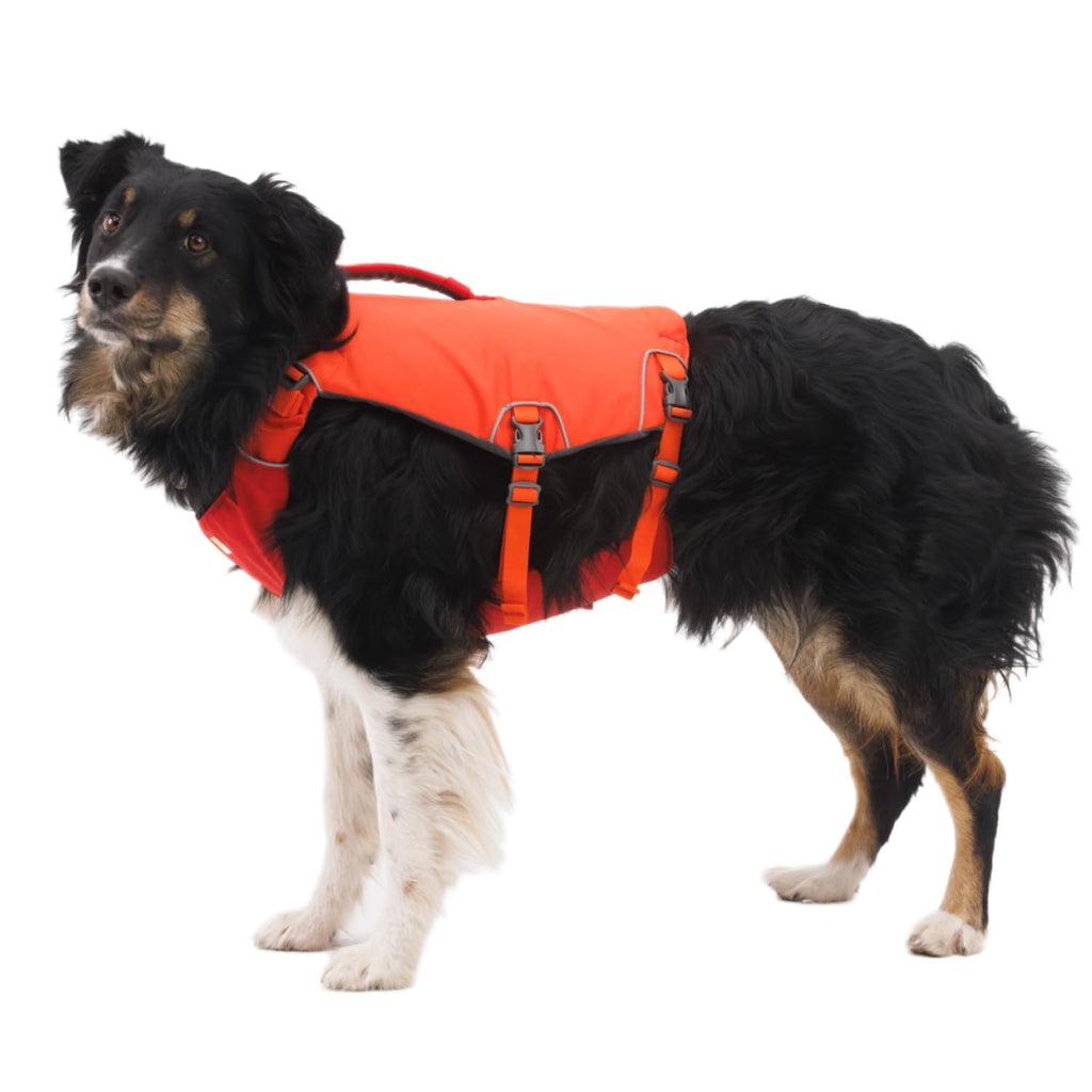 Adjustable Dog Life JacketApparel