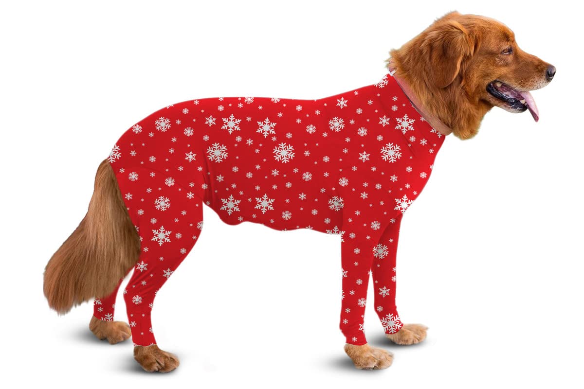 Dog Recovery Suit