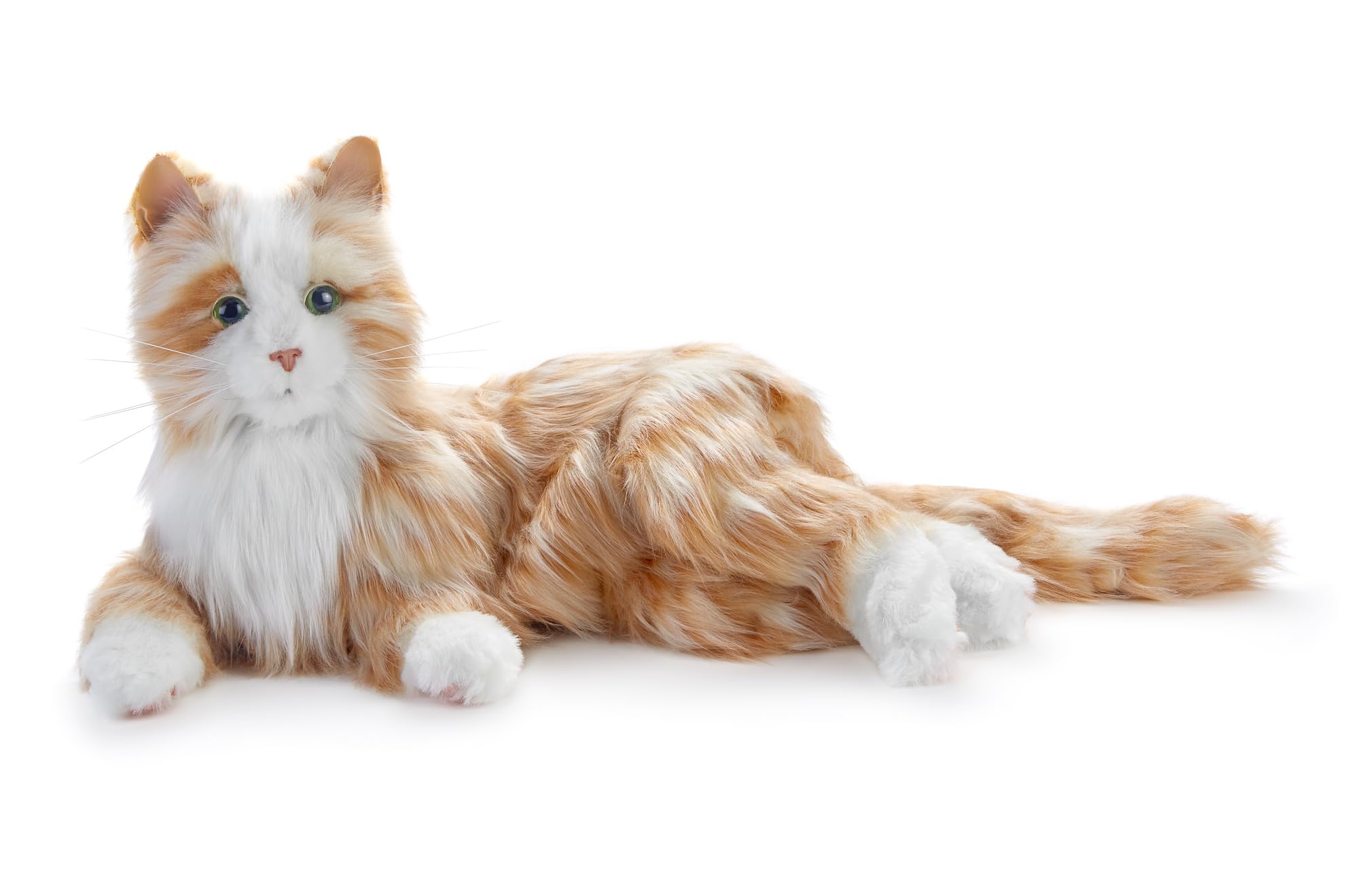 Interactive Black & White Companion Cat