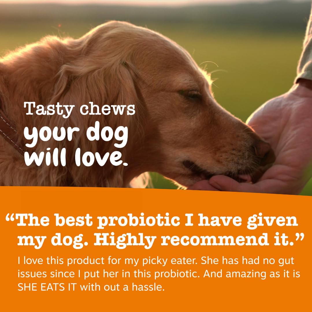 Probiotic Soft Chews for Dogs