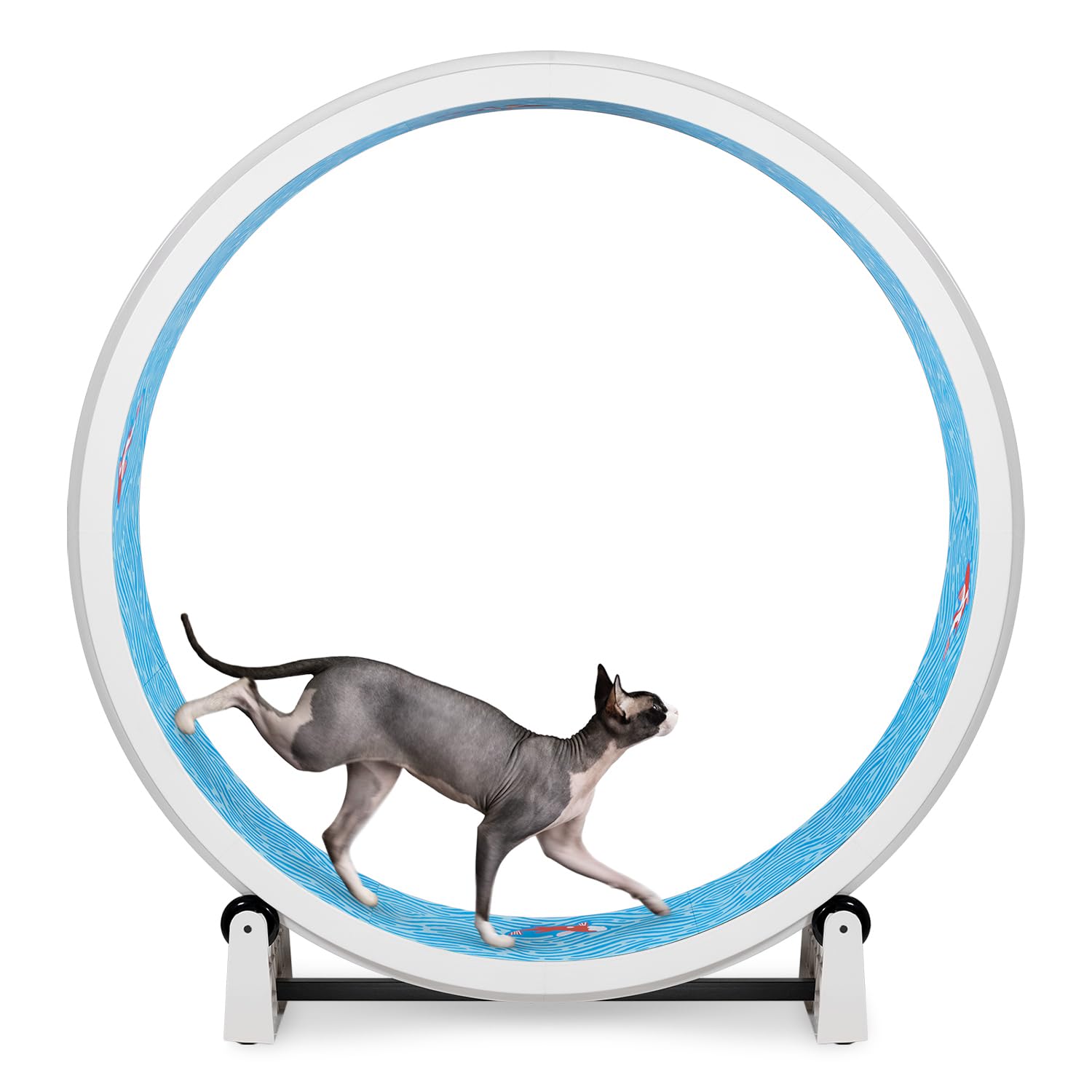 One Fast Cat Exercise Wheel