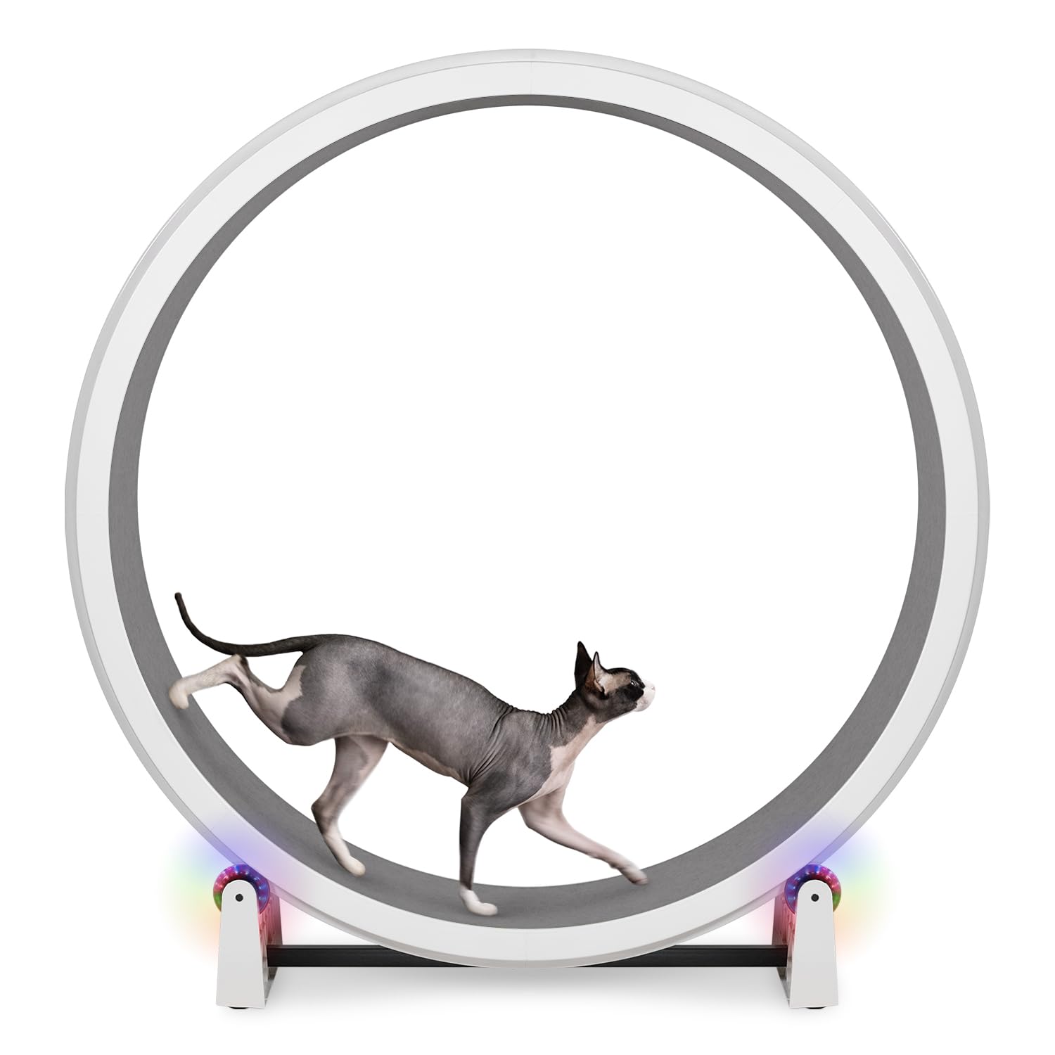 One Fast Cat Exercise Wheel