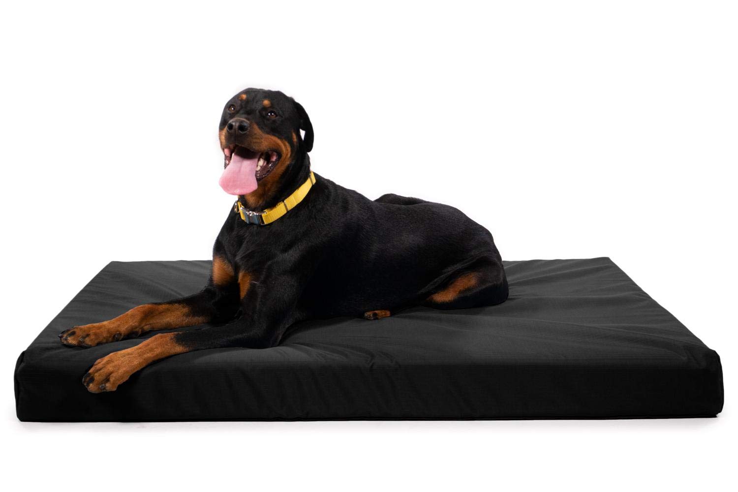 Chew-Resistant Orthopedic Dog Bed