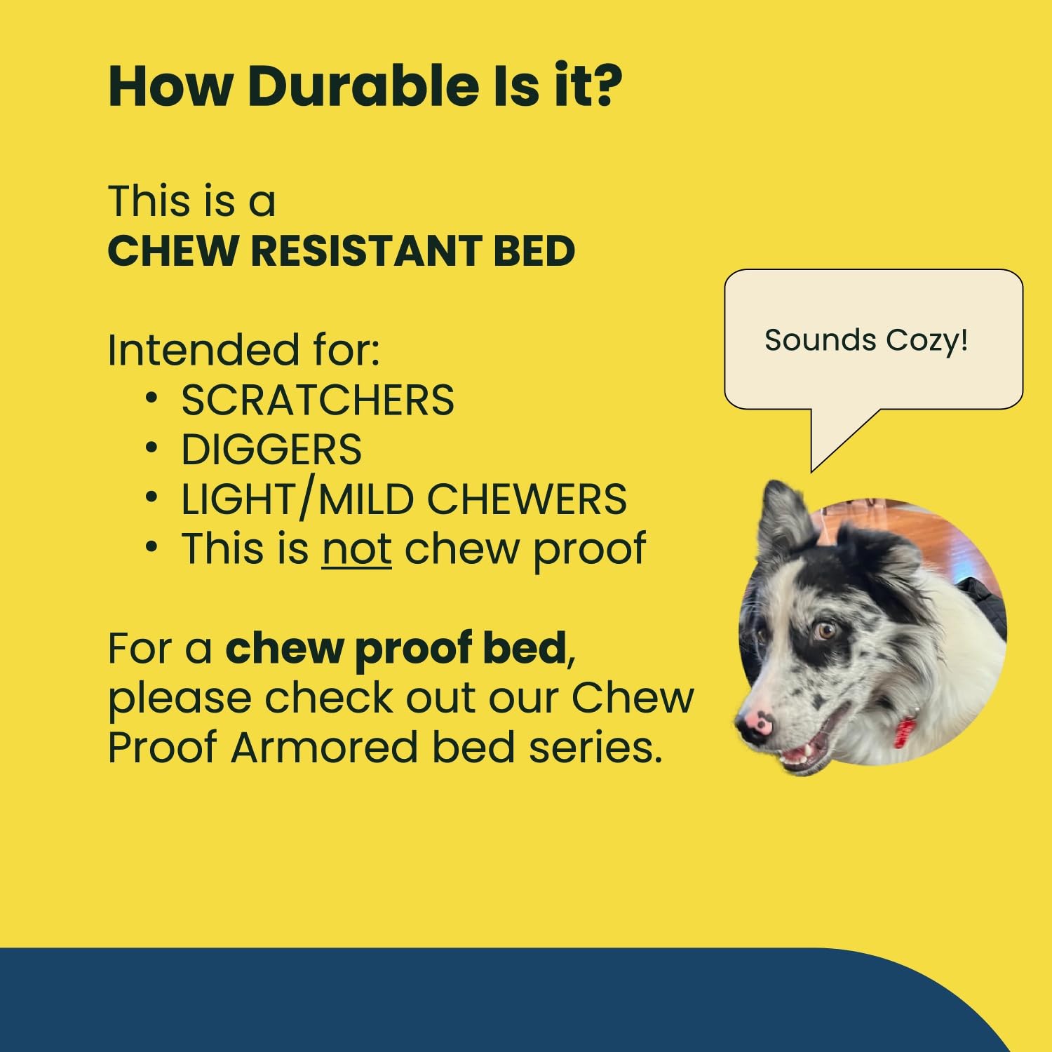 Chew-Resistant Orthopedic Dog Bed